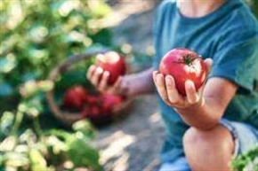  Биопроизводителите доказват обучение до края на годината