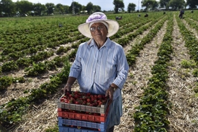 МЗХ стартира прием по интервенцията за къси вериги на доставка с бюджет от 9,5 млн. евро
