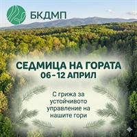  Зеленото богатство на България: Отбелязваме Седмицата на гората за 101-ви път