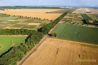 DG AGRI предлага техническа помощ за използване на финансови инструменти в земеделието