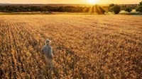 Важни срокове изтичат през август по директните плащания