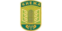 Храни, маски и дезинфектанти раздадоха в Кнежа 