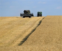  Египет търси разширяване на вноса на пшеница от България 