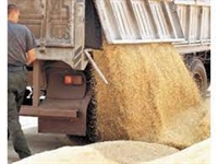 Световните запаси от зърно на петгодишно дъно