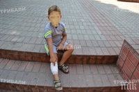 Кошмар! Помияри наядоха 5-годишно дете в центъра на Враца 