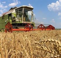  Зърнопроизводителите могат да кандидатстват за нисколихвени кредити 