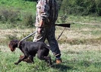 Ловците ще плащат двойно по-малко за изследване за трихинелоза