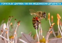 Подаряват се 100 000 медоносни дръвчета, в подкрепа на пчелите