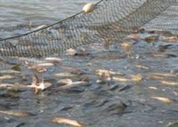 Възможност за финансиране за подобряване условията на труд в сектор „Рибарство“