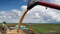 Зърнен пазар: Цените на пшеницата скачат до 5-месечен връх