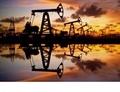 Цените на петрола поддържат курса заради опасенията за търсенето в САЩ  