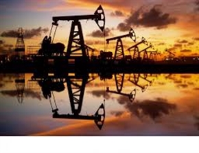 Цените на петрола поддържат курса заради опасенията за търсенето в САЩ  